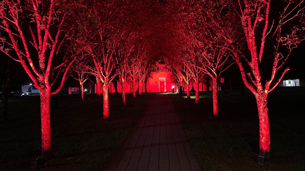 Red uplights on the tree allee at Southern Vermont Arts Center for Beaux Arts Fête 2026.